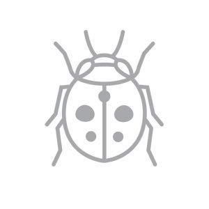 BUGGSLAYER Insecticide Concentrate 16-oz Kills Box Elder Bugs, Stink Bugs, Asian Lady Beetles