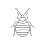 BUGGSLAYER Insecticide Ready-to-use Indoor 32-oz