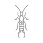 BUGGSLAYER Insecticide Ready-to-use Indoor 32-oz