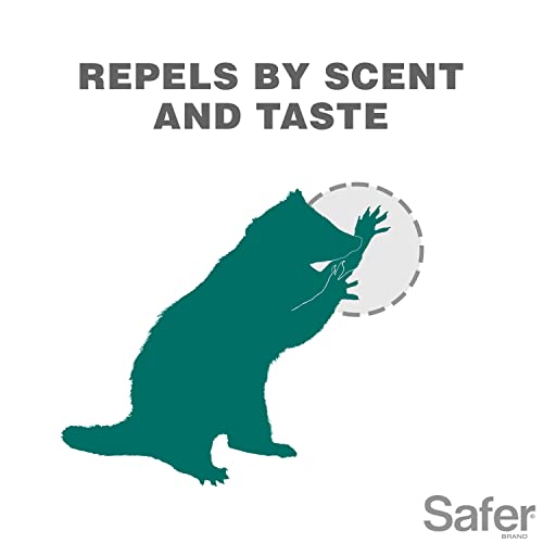 Safer Brand 5935 Critter Ridder Animal Repellent Ready-to-Use Spray-32 RTU, 32 Fl Oz (Pack of 1)