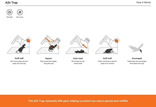 Goodnature Smart Trap Kit, A24 Humane Mouse Trap & Rat Trap with Portable Trap Stand, Automatic Paste Pump and CO2 Canister, Pet-Friendly Mouse Trap with Smart Counter
