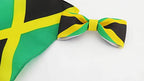 Jamaica Flag Hair Bow Girls Women Hair Accessories Cultural Multicultural School Events QXP Shop