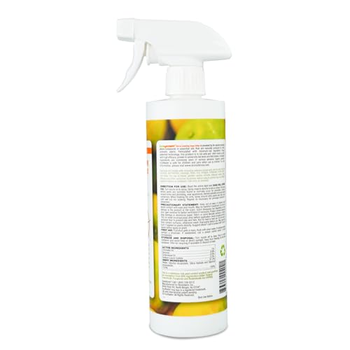 EcoVenger Ant Killer & Crawling Insect Killer (Citrus Scent) 16 OZ, Kills Fast in Minutes, Also Kills Spiders, Centipedes & More, Repels with Residual, Natural & Non-Toxic, Children & Pets Safe
