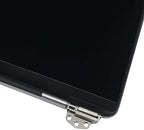 Replacement Screen for MacBook Pro A2289 A2251 A1989 A2159 EMC3358 3214 3348 3456 3301 Retina LCD MV96 97 98 99 9A MR9V MR9Q 9R 9T 9U Full LCD Display Complete Top Assembly Grey/Silver (Silver)