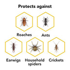 Raid Ant & Roach Aerosol Bug Spray, Water-Based Formula Insecticide with No Greasy Residue, Kills On Contact, 17.5 oz