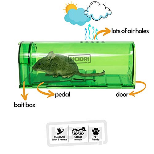 Mouse Traps Indoor for Home, Humane Mouse Trap (Green)