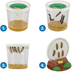 Insect Lore Butterfly Garden Kit, Painted Lady Butterfly Kit with Voucher for Live Caterpillars, Butterfly Habitat, STEM Journal & More