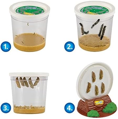 Insect Lore Butterfly Garden | As Seen On TV | 10 Live Baby Caterpillars, Habitat, Journal, Life Cycle Figurines, Seeds, Stickers, Feeder, Chrys-A-Lid Logs | Raise and Release Painted Lady Butterflies