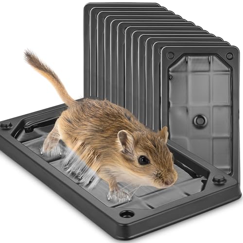 MEILEN Mouse Traps Indoor, Glue Traps for Mice and Rats, Super Heavier Rat Traps Large Size Pre-Scented Strengthen Sticky Mouse Traps for Home Safe for Children & Pets-12Packs