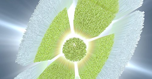 Philips Sonicare Genuine W DiamondClean Replacement Toothbrush Heads, 3 Brush Heads, White, HX6063/65