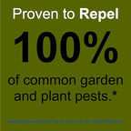 Plant and Garden Pest Control Spray by Premo Guard - 32 oz - Kills Aphids, Spider Mites, Gnats, Whiteflies, Beetles, Caterpillars and Fungus - Fast Acting & Effective - Child and Pet Safe