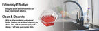BEAPCO 10036 7 Red 6-Pack Premium Fruit Fly 6 Pre-Filled Trap Flies Indoors | Easy Effective and Safe to Use | Food-Based Lure/Bait Catcher