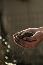 Autoflower Living Soil Concentrate for Super Soil