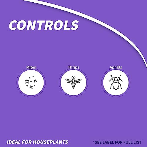Bonide Captain Jack's Mite-X for Houseplants, 12 oz Ready-to-Use Spray for Insect Control