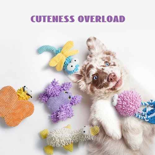 Nocciola Small Medium Dog Toys, Cute Soft Squeaky Crinkle Plush Stuffed Durable Pet Teething Animal Chew Toys for Medium Small Puppy, Cognitive Stimuting Boredom Accessories Girl Gifts 5 Packs