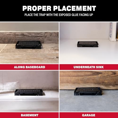 Catchmaster Scorpion Glue Tray Traps 6-Pack, Adhesive Scorpion Killer for Home, Simple Insect Traps Indoor, Sticky Bug Catcher for Kitchen, Garage, & Basement, Pet Safe Pest Control Glue Trap