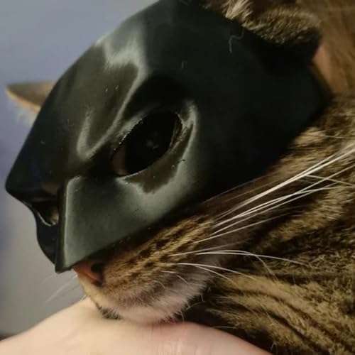 Cat Bat Mask, Cat Bat Cosplay Hat, Funny Cat Costumes Accessories (Small)