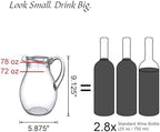 Amazing Abby - Bubbly - 2-Pack Acrylic Pitcher (72 oz), Clear Plastic Water Pitcher with Lid, Fridge Jug, BPA-Free, Shatter-Proof, Great for Iced Tea, Sangria, Lemonade, Juice, Milk, and More