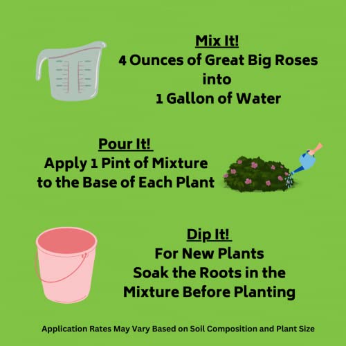 Great Big Roses - Soil and Fertilizer Booster; 32 Ounce Concentrate (Makes 8 gallons)