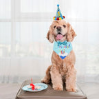 ADOGGYGO Dog Birthday Bandana Scarf and Dog Girl Boy Birthday Party Hat with Cute Dog Bow Tie for Small Dog Cat (Small, Blue)