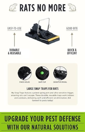Grandpa Gus's Pest Control Large Snap Traps for Mice/Rats (6 Pack) Bundle with 1 Pack Rodent Lure, Food-Grade Bait, 0.5 oz