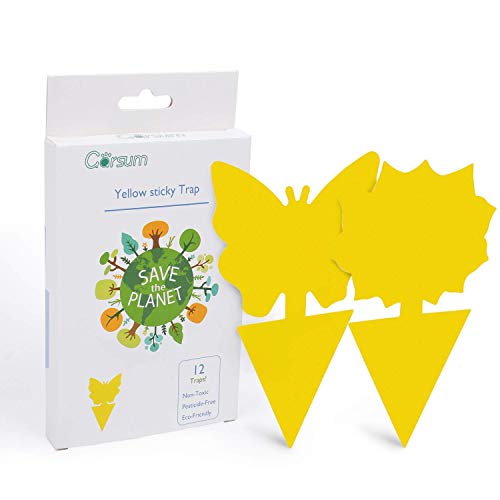 Garsum Fruit Fly Sticky Trap for Indoor and Outdoor, Fungus Gnat Killer for Houseplant,Mosquitos, Flying Insect, White Flies, 120 Pack