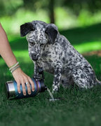 IRON °FLASK Portable Dog Water Bottle & Bowl - All-in-One Travel Accessories Pet Food & Liquids for Car, Hiking, Camping - Leak-Proof, Double Walled, Insulated - 32 oz, 2 Dog Bowls - Dark Night