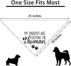 My Parents are Getting Me a Human Dog Pregnancy Announcement Bandana Pregnancy Dog Bandana for Dogs Pet Accessories for Dog Lovers Pregnancy Reveal Ideas