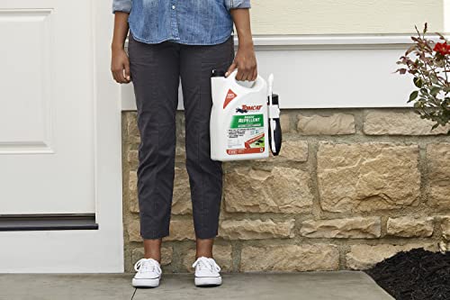 Tomcat Rodent Repellent Oil for Indoor and Outdoor Mouse and Rat Prevention, Ready-To-Use, 1 gal.