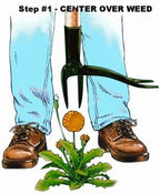 Grampa's Weeder - The Original Stand Up Weed Puller Tool with Long Handle - Made with Real Bamboo & 4-Claw Steel Head Design - Easily Remove Weeds Without Bending, Pulling, or Kneeling
