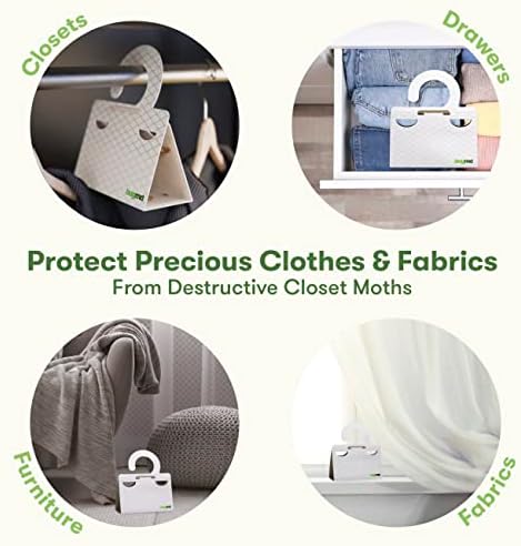 BugMD Clothes Moth Boss Traps (6 Count, White) - Sticky Glue Bug Repellent Pheromone Attractor for Closets Wardrobes Cabinet Drawers, Moth Balls for Closet, Moth Traps with No Harsh Chemicals