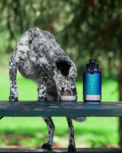 IRON °FLASK Portable Dog Water Bottle & Bowl - All-in-One Travel Accessories Pet Food & Liquids for Car, Hiking, Camping - Leak-Proof, Double Walled, Insulated - 32 oz, 2 Dog Bowls - Dark Night