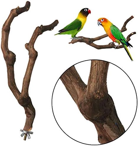 kathson Natural Parrot Perch Bird Stand Pole Wild Grape Stick Paw Grinding Fork Parakeet Climbing Standing Branches Toy Chewable Cage Accessories for Small Budgies Cockatiels Lovebirds 3PCS