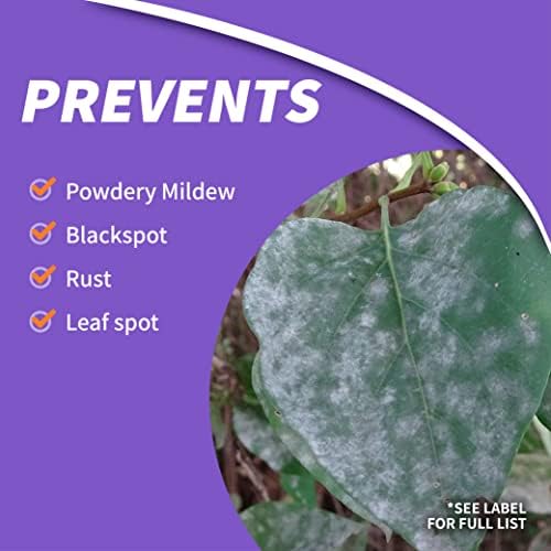 Bonide Rose Shield Spray, 64 oz Ready-to-Use, Insect and Disease Protection for Roses, Flowers and Ornamentals