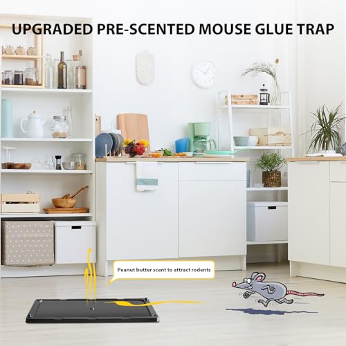 TRAP IT! Mouse Traps Indoor for Home, 12 Pack Pre-Baited Sticky Glue Traps for Mice & Rats, Larger Heavy Duty Adhesive Plastic Trays Pet Family Safe for Rodents, Snakes, Spiders, Lizards Pest Control