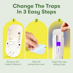 BugMD No Buzz Zone and Refill Trap Bundle - Refillable UV Bug Zapper, Mosquito Zapper, Flying Insect Trap, Bug Catcher, Plug in Fly Trap Indoor, Gnat and Fruit Fly Traps for Indoors Plug in