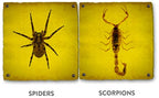 Black Flag Spider and Scorpion Killer 16 Ounces, Aerosol Insecticide SprayAdditional Product Name: Black Flag Spider and Scorpion Killer 16 Ounces, Aerosol Insecticide Spray 12 pack