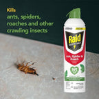 Raid Essentials Ant, Spider & Roach Killer Aerosol Spray, Child & Pet Safe, Kills Insects Quickly, for Indoor Use, Rosemary Mint Scent, 10 fl oz