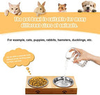 5 PCS Cat Bowls Whisker Friendly, Shallow Wide Flat Cat Food Bowls Stainless Steel,Metal Cat Dishes Whisker Fatigue Relief,Replacement Basic Cat Plates for Elevated Stand,Dishwasher Safe…