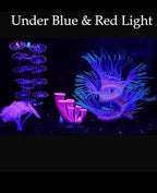 4 Pieces Aquarium Fish Tank Decorations with Glowing Effect, Silicone Glow Artificial Ornament Coral Reef Plants for Aquarium Decoration Small and Large Fish Bowl Decor Accessories