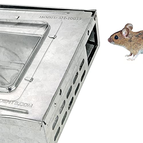 Southern Homewares Itrap Multi-Catch Clear Top Humane Repeater Mouse Trap, 2 Pack