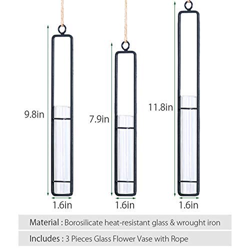 AODERUM Hanging Glass Planter Water Iron Art Hydroponic Vase Transparent Test Tube Flower Hanging Bottle Home Decoration (3pcs-S,M,L)