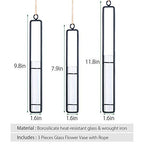 AODERUM Hanging Glass Planter Water Iron Art Hydroponic Vase Transparent Test Tube Flower Hanging Bottle Home Decoration (3pcs-S,M,L)