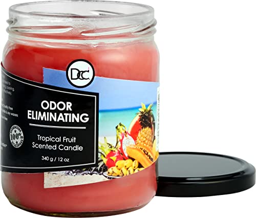 Tropical Fruit Odor Eliminating Highly Fragranced Candle - Eliminates 95% of Pet, Smoke, Food, and Other Smells Quickly - Up to 80 Hour Burn time - 12 Ounce Premium Soy Blend