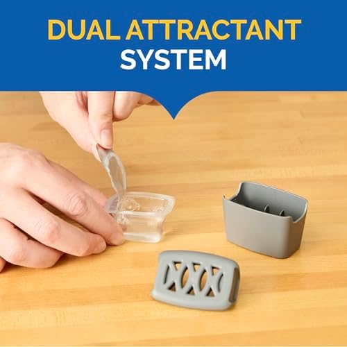 Hot Shot Flying Insect Trap, Discreet, Trap Attracts, Captures and Kills House Flies and Fruit Flies, 24/7 Continuous Attraction, No Plug-in Or Electricity Needed, 6 Count