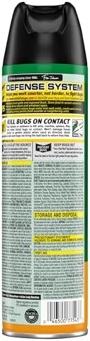 Raid House & Garden Insect Killer Spray, Orange Scent 11 Ounce (Pack of 1)