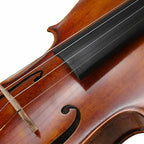 Violin Strings Full Set, Violin Strings Replacement, Carbon Steel Core, Medium Tension,Long-Lasting Durability & Rich Tone - For All Levels (4/4 Gold E) Fiddle String