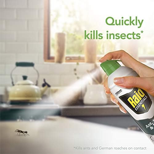 Raid Essentials Ant Spider, and Roach Killer Aerosol Spray, Child & Pet Safe, Kills Insects Quickly, for Indoor Use, 10 oz (Pack of 3)