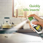 Raid Essentials Ant Spider, and Roach Killer Aerosol Spray, Child & Pet Safe, Kills Insects Quickly, for Indoor Use, 10 oz (Pack of 3)