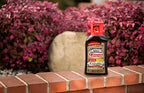 Spectracide Weed and Grass Killer with Extended Control Concentrate, 32 Ounces, with Accumeasure System
